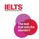 We prepare you For IELTS and TOEFL Exams!!!-VISION 0509249945