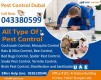 Pest Control Dubai, Disinfection Service Dubai, Water Tank Cleaning Dubai