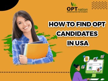 How OPT Students Gain Work Experience In The USA