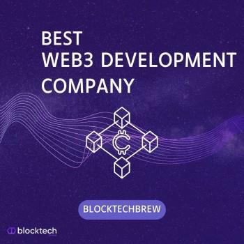 Choose the Best: Blocktech Brew - Your Premier Web3 Development Company