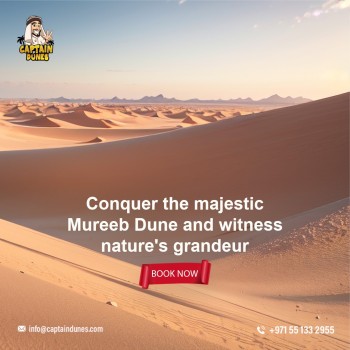 Mureeb Magic: A Journey to the Enchanting Mureeb Dune
