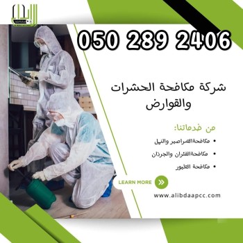 Pest Control Services in Al Ain and Abu Dhabi 