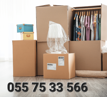 Professional Movers and packers in dubai 055 75 33