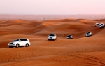 Now You Can Enjoy VIP Desert Safari Only in 99 AED