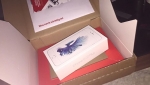 For Sale Apple iPhone 6S Plus & 6s All GB
