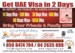 Get UAE Visa in Just 1 – 2 Days