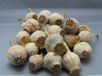 Dried Poppy Pods FOR SALE /Dried Flower Collection - 2 LB