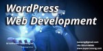 Word Press Development / Web Development