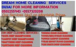 motor city Cleaning sofa carpet mattress services -0555254955