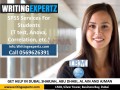WritingExpertz.com SPSS Analysis – Report Writing Call 0569626391 in UAE – CALL TODAY!!!