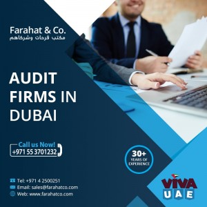 Looking for Audit Services in Dubai Call us - 042500251 