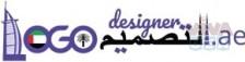 professional logo design service 