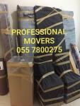 PROFESSIONAL MOVERS 055 7800275