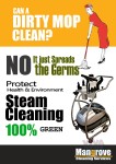 Deep/Steam Cleaning Services (Move-in/out)