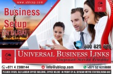 BUSINESS SETUP COMPANIES IN DUBAI
