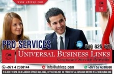 PRO SERVICES IN UAE