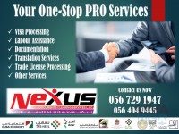 PRO and HR SOLUTION SERVICES