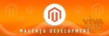 Best magento development services by famed development company 