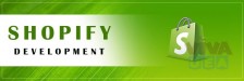 Top Shopify development services by best web development company