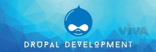 Top Drupal development services by best web development company