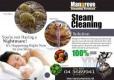 Professional Deep/Steam Cleaning - Villa, Apartment, Office