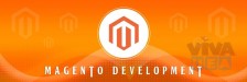 Top magento development services by the best web development company