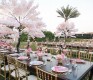 Wedding planner Abudhabi | Event companies in Dubai