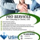 pro services