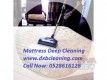 sofa carpet rugs shampoo cleaning 