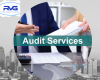 Trusted Team for Audit Services in Dubai 