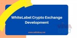 White Label Cryptocurrency Exchange Development Company | sellbitbuy