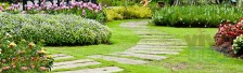 Find A Best Company Working For Landscape Maintenance In Dubai ?