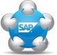  SAP S/4 HANA Finance, online, Class Training at VISION INSTITUTE