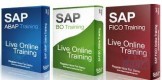  SAP S/4 HANA Finance, online, Class Training at ajman-0509249945