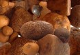 ox cow gallstones for sale