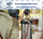 PEST CONTROL SERVICES - LIMITED SPECIAL OFFER 