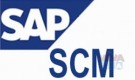 SAP SCM Training at Vision Institute. 0509249945