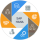 SAP S/4 HANA Finance Course Training at VISION INSTITUTE 0509249945