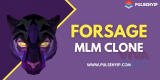 Pulsehyip - Forsage MLM Clone at 48Hours!