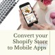 Shopify web developers Dubai
