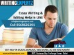 WRITINGEXPERTZ.COM Dial Now 0569626391 Essay Help Dubai: Ideal Essay Writing in UAE 