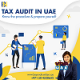 Best Tax Auditing Service in Dubai