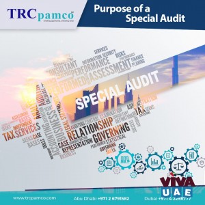TRC Pamco - Purpose of a Special Audit