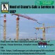Searching for Crane's-Sale & Service in UAE?