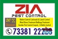Pest Control 7338122228 | Cockroach Service | 1479 | 20% Discount