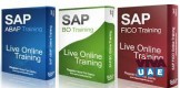 Last day of Newyear offer-SAP/HANNA training at Vision institute