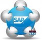 SAP TRAINING START AT VISION INSTITUTE AJMAN- 0509249945