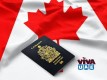 Best Canada immigration consultants in Dubai 