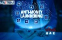 Anti Money Laundering Audits Services in UAE with Netrika