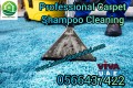 Rug Sofa Carpet Shampooing Service in Dubai